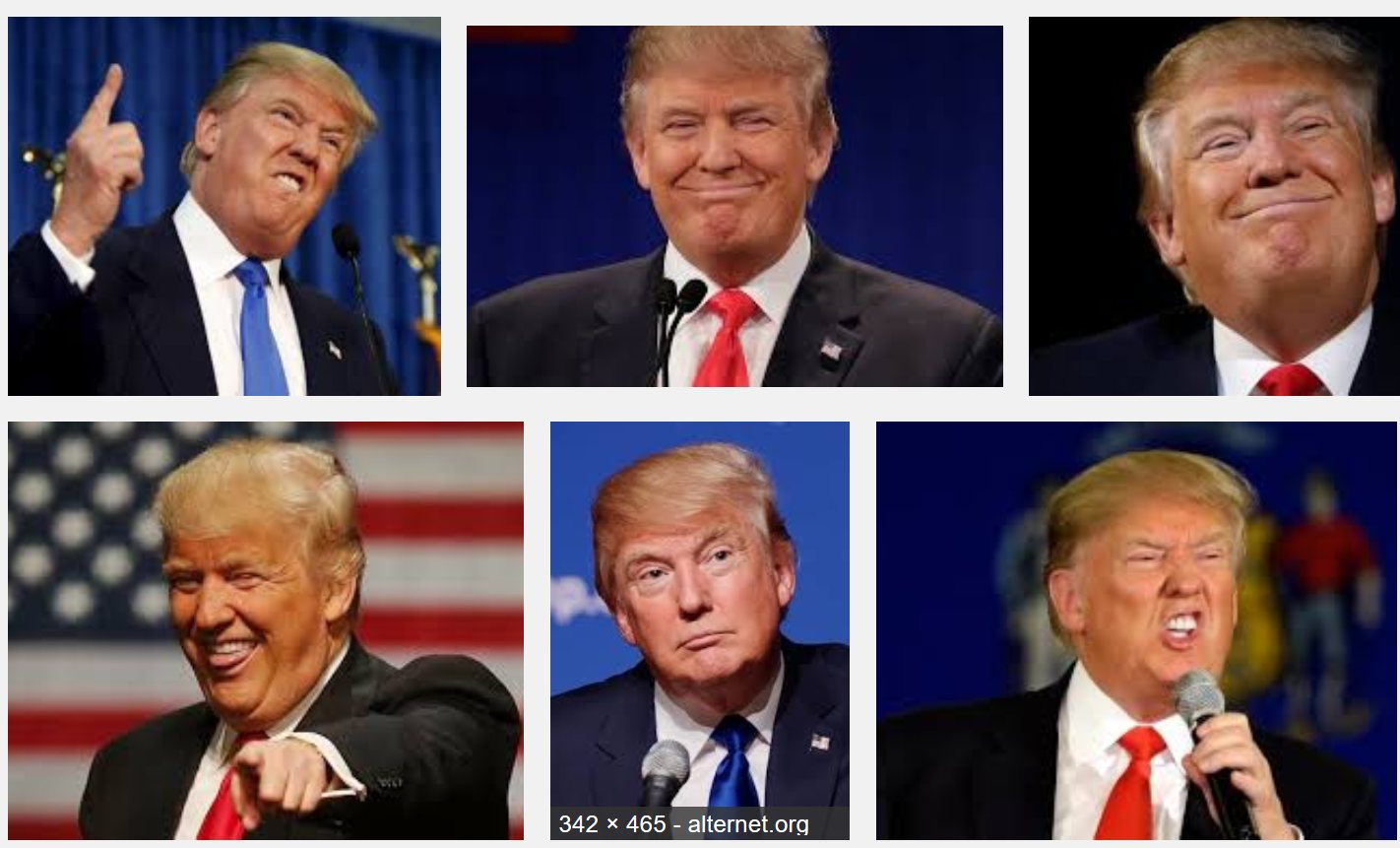 Ongepolijste Trump